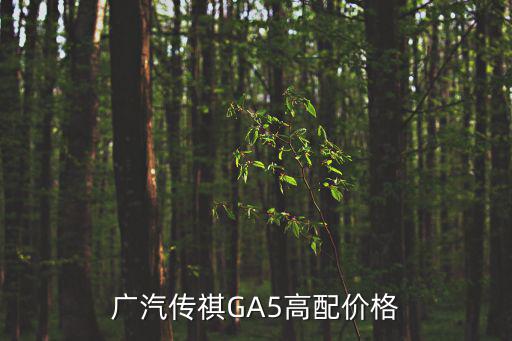 廣汽傳祺GA5高配價格