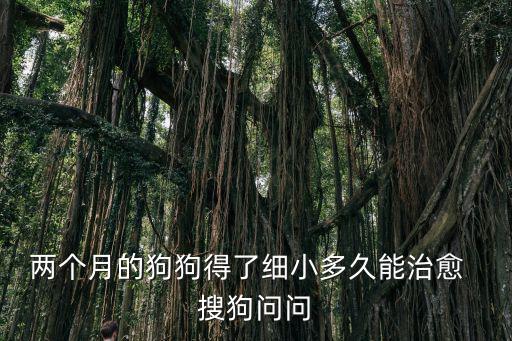 兩個(gè)月的狗狗得了細(xì)小多久能治愈  搜狗問(wèn)問(wèn)