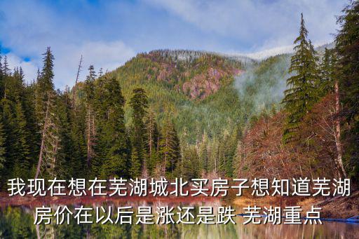 蕪湖房價哪個地段最好出手，蕪湖的黃金地段在哪里房價如何