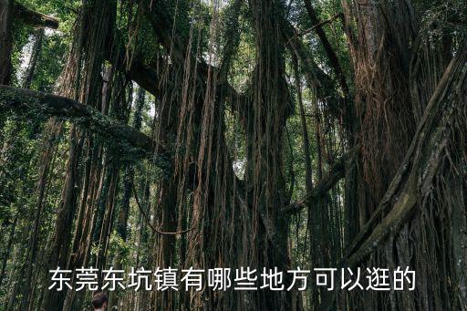 東莞東坑鎮(zhèn)有哪些地方可以逛的