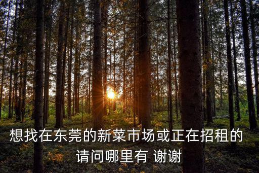 想找在東莞的新菜市場(chǎng)或正在招租的 請(qǐng)問哪里有 謝謝