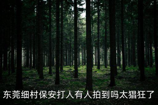 東莞細村保安打人有人拍到嗎太猖狂了