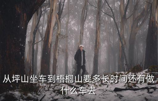 從坪山坐車到梧桐山要多長時(shí)間還有做什么車去