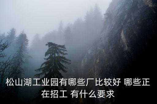 松山湖工業園有哪些廠比較好 哪些正在招工 有什么要求