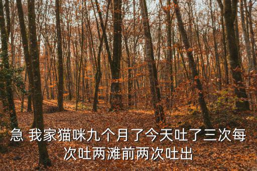 貓每次吐毛球吐多少，我家的貓今年7歲了以前有時候吐都是吐毛球而已這幾天吐的象