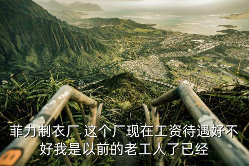 菲力制衣廠 這個廠現在工資待遇好不好我是以前的老工人了已經