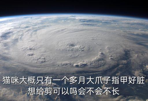 貓咪大概只有一個多月大爪子指甲好臟想給剪可以嗎會不會不長