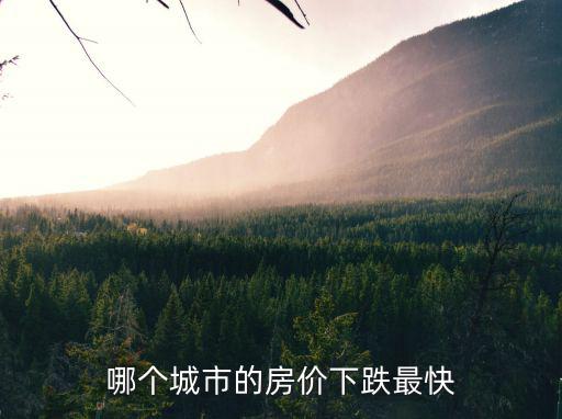 哪個城市的房價下跌最快