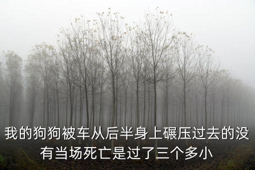 我的狗狗被車從后半身上碾壓過去的沒有當(dāng)場死亡是過了三個(gè)多小