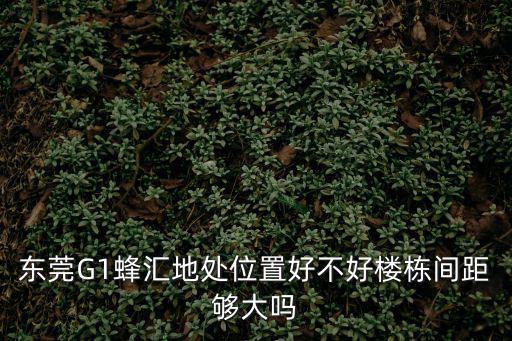 東莞南城g1蜂匯方案圖，宏圖路G1蜂匯廣場(chǎng)4樓怎么去US健身的地址地圖