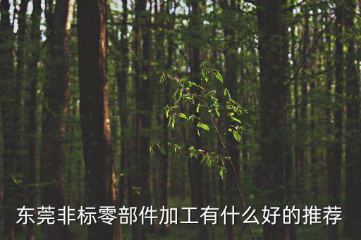 東莞非標零部件加工有什么好的推薦