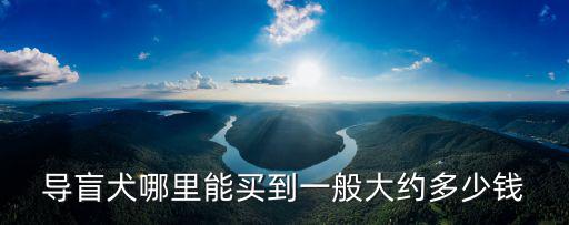 導盲犬哪里能買到一般大約多少錢