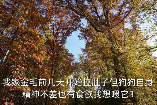 我家金毛前幾天開始拉肚子但狗狗自身精神不差也有食欲我想喂它3