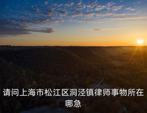 請問上海市松江區洞涇鎮律師事物所在哪急