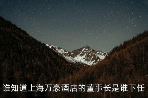 誰知道上海萬豪酒店的董事長是誰下任