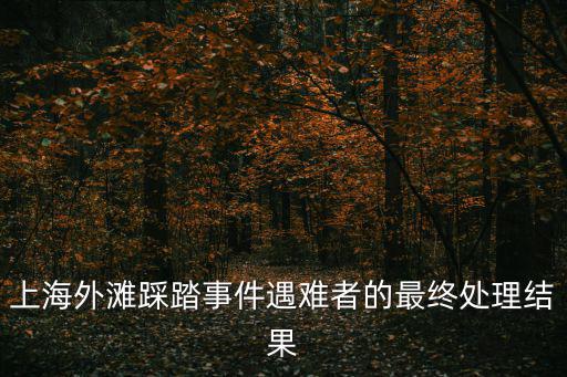 上海外灘踩踏事件遇難者的最終處理結果