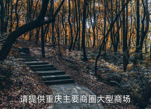 請提供重慶主要商圈大型商場