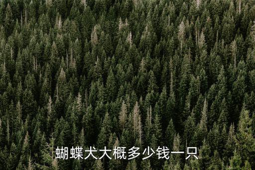 蝴蝶犬大概多少錢一只