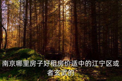 南京哪里房子好租房價(jià)適中的江寧區(qū)或者玄武的