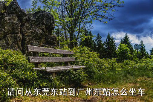 請(qǐng)問從東莞東站到廣州東站怎么坐車