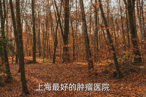 上海最好的腫瘤醫(yī)院