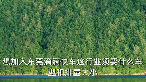 想加入東莞滴滴快車這行業須要什么車型和排量大小