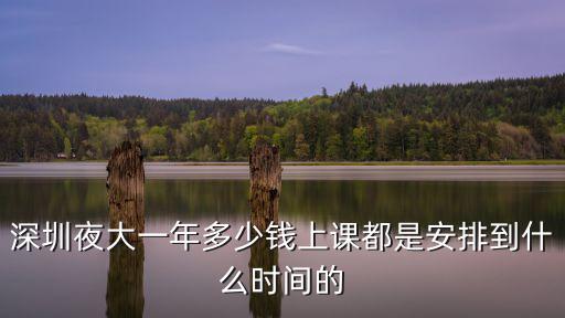 深圳讀大學一年多少錢一次，在深圳大學就讀一年要用多少錢加學費的