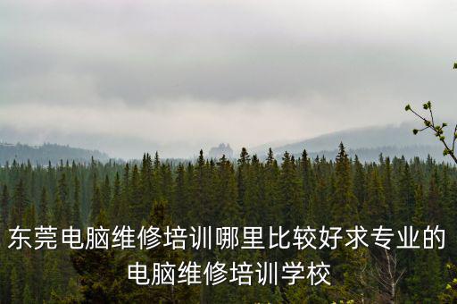 東莞電腦維修培訓哪里比較好求專業的電腦維修培訓學校
