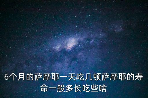 6個月的薩摩耶一天吃幾頓薩摩耶的壽命一般多長吃些啥