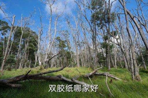 雙膠紙哪家好