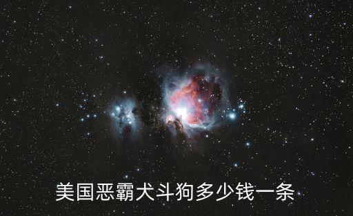美國惡霸犬斗狗多少錢一條