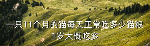 一歲的公貓一天吃多少，一歲多的小貓每天應(yīng)該吃多少貓糧急在線等