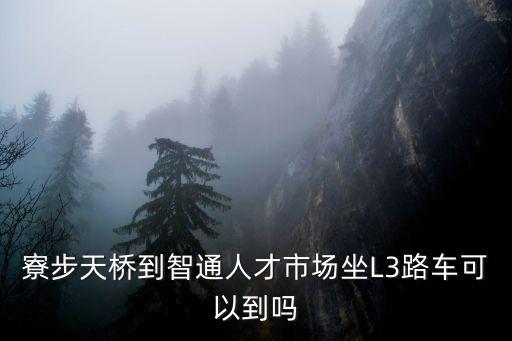 寮步天橋到智通人才市場坐L3路車可以到嗎