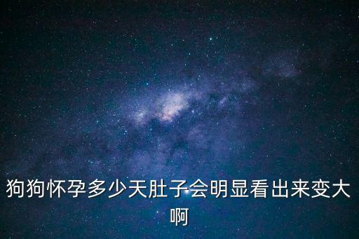 狗狗懷孕多少天肚子會明顯看出來變大啊