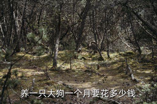 養一只大狗一個月要花多少錢