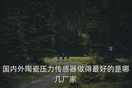 國內外陶瓷壓力傳感器做得最好的是哪幾廠家