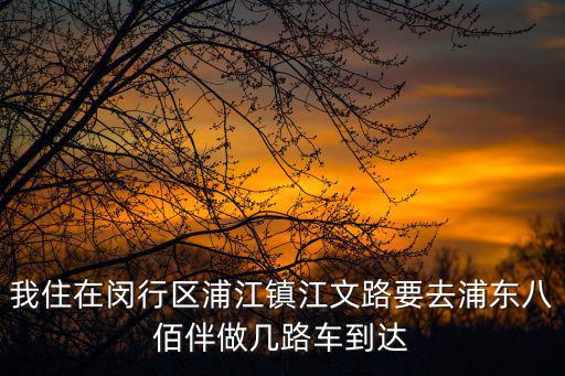 我住在閔行區(qū)浦江鎮(zhèn)江文路要去浦東八佰伴做幾路車到達
