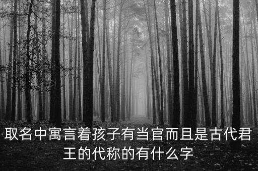 能當(dāng)大官的名字，取名中寓言著孩子有當(dāng)官而且是古代君王的代稱(chēng)的有什么字