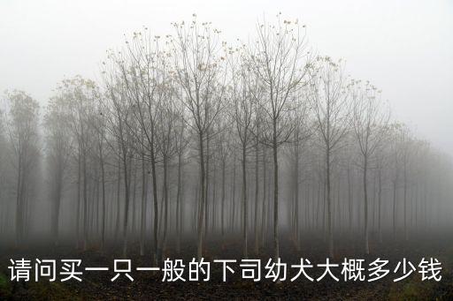 請(qǐng)問(wèn)買一只一般的下司幼犬大概多少錢