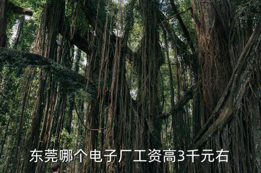 東莞哪個電子廠工資高3千元右