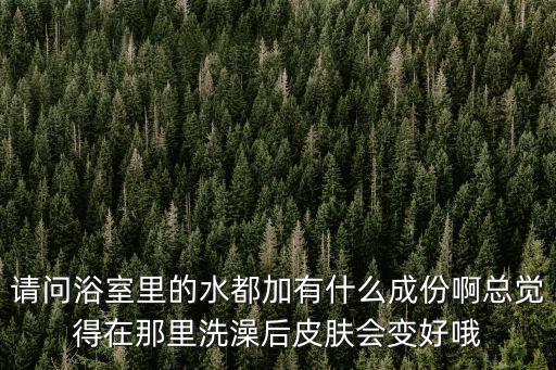 請問浴室里的水都加有什么成份啊總覺得在那里洗澡后皮膚會變好哦