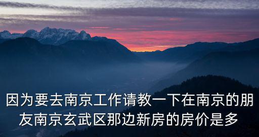 因?yàn)橐ツ暇┕ぷ髡?qǐng)教一下在南京的朋友南京玄武區(qū)那邊新房的房價(jià)是多