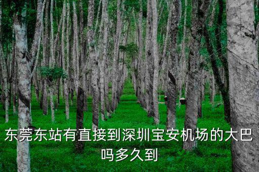東莞東站有直接到深圳寶安機場的大巴嗎多久到