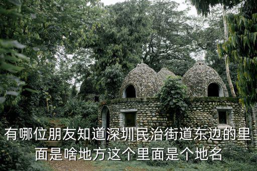 有哪位朋友知道深圳民治街道東邊的里面是啥地方這個里面是個地名