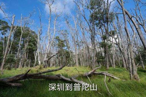 深圳到普陀山
