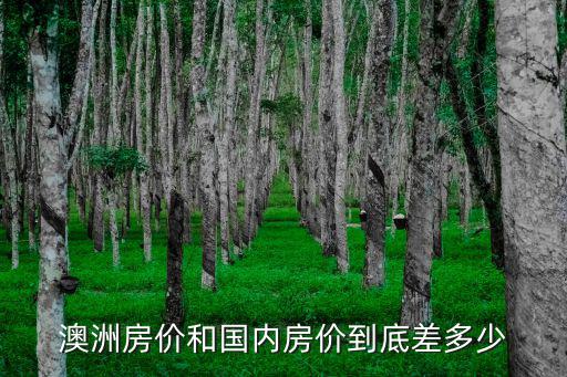 澳洲房價和國內房價到底差多少