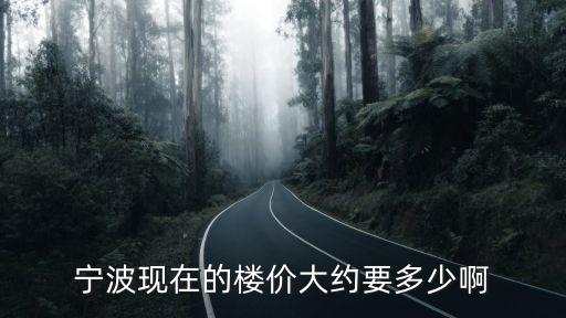 寧波現(xiàn)在的樓價大約要多少啊