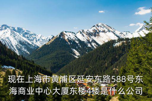 現(xiàn)在上海市黃浦區(qū)延安東路588號(hào)東海商業(yè)中心大廈東樓4樓是什么公司