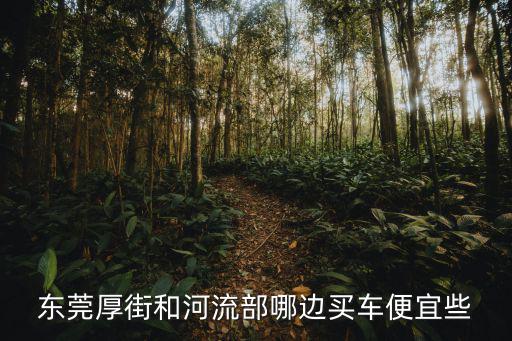 東莞厚街和河流部哪邊買車便宜些