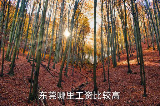 東莞工資高點哪里好，東莞哪里的工資高